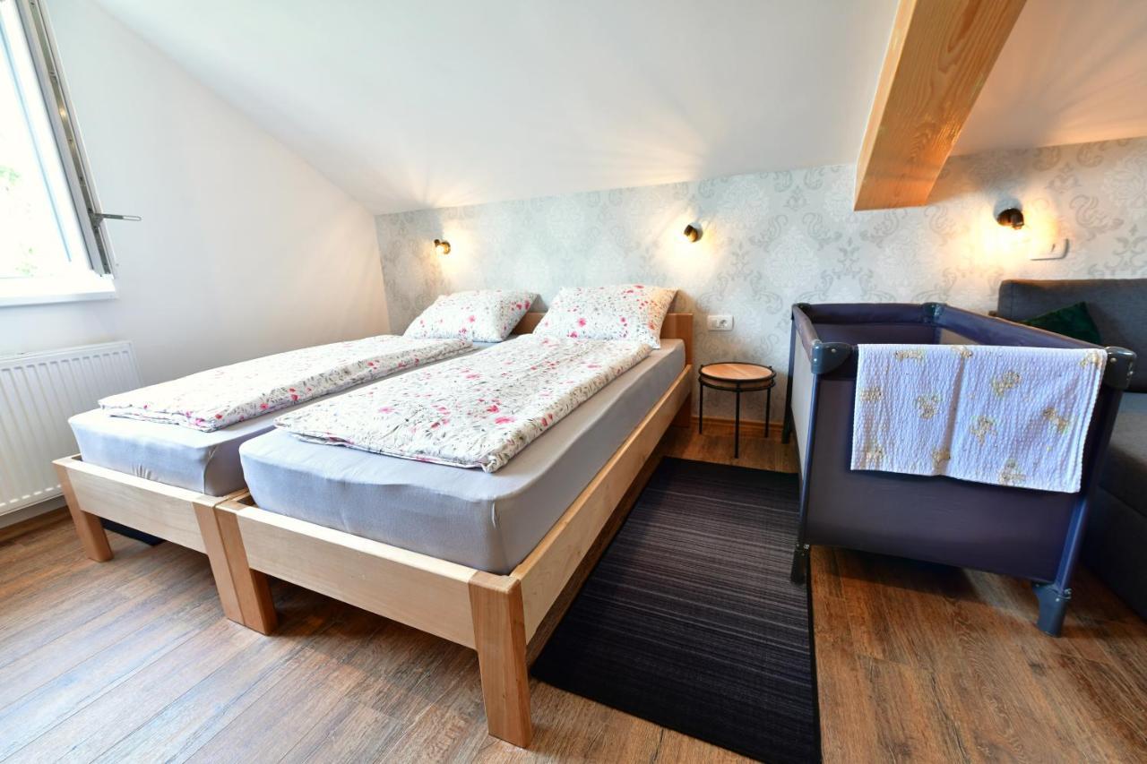 House Bela vido Hotel Drežnik Grad Buitenkant foto