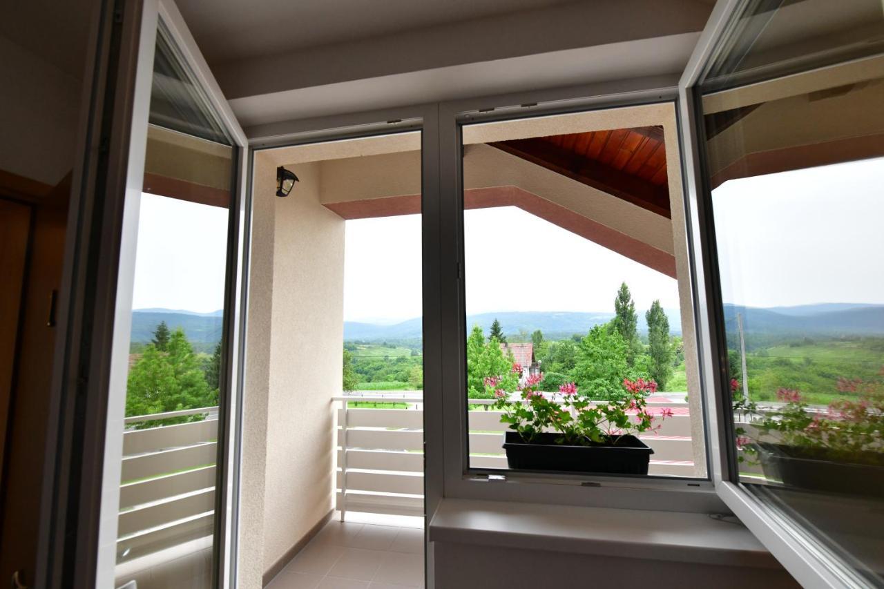 House Bela vido Hotel Drežnik Grad Buitenkant foto