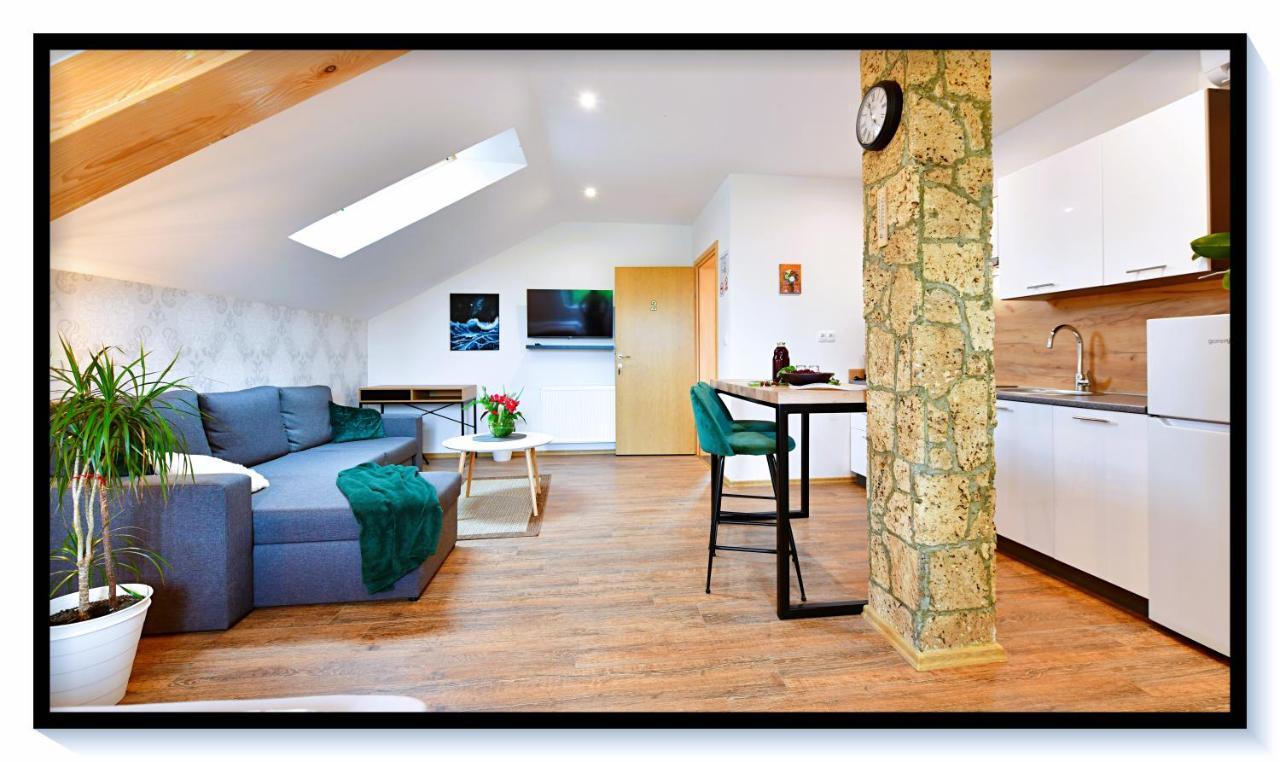 House Bela vido Hotel Drežnik Grad Buitenkant foto